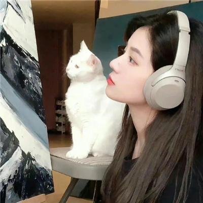 塞雅